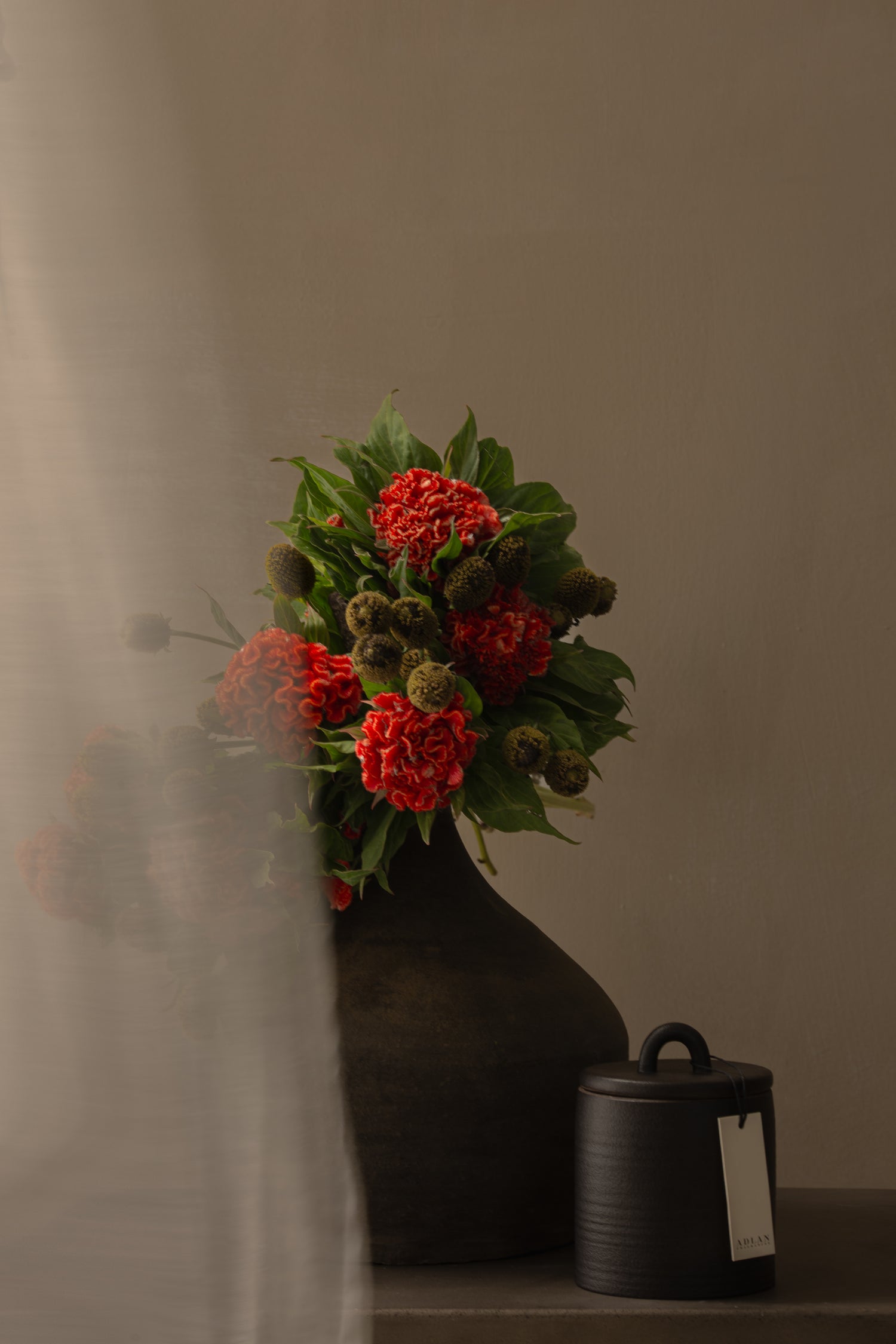 Coming Up Roses