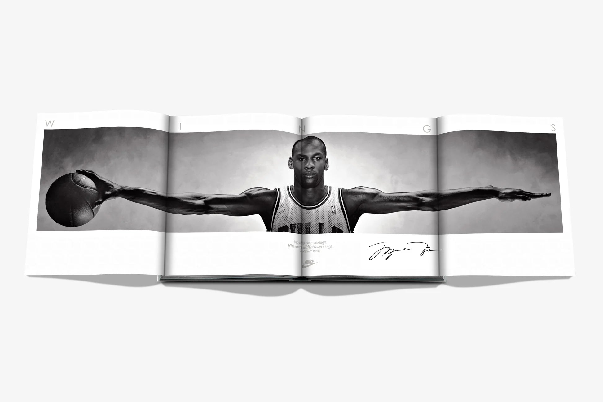 Air Jordan