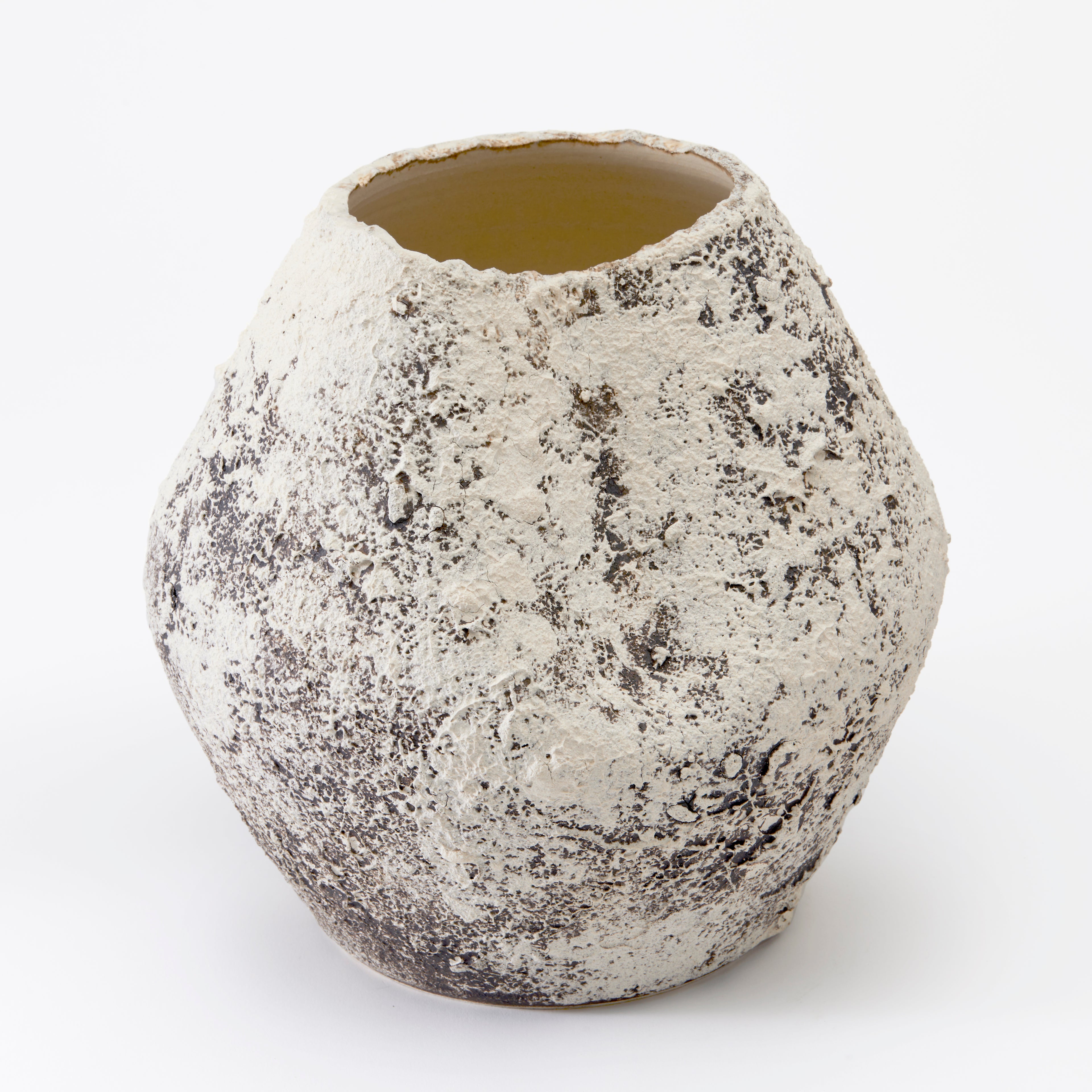 Claudia Vase