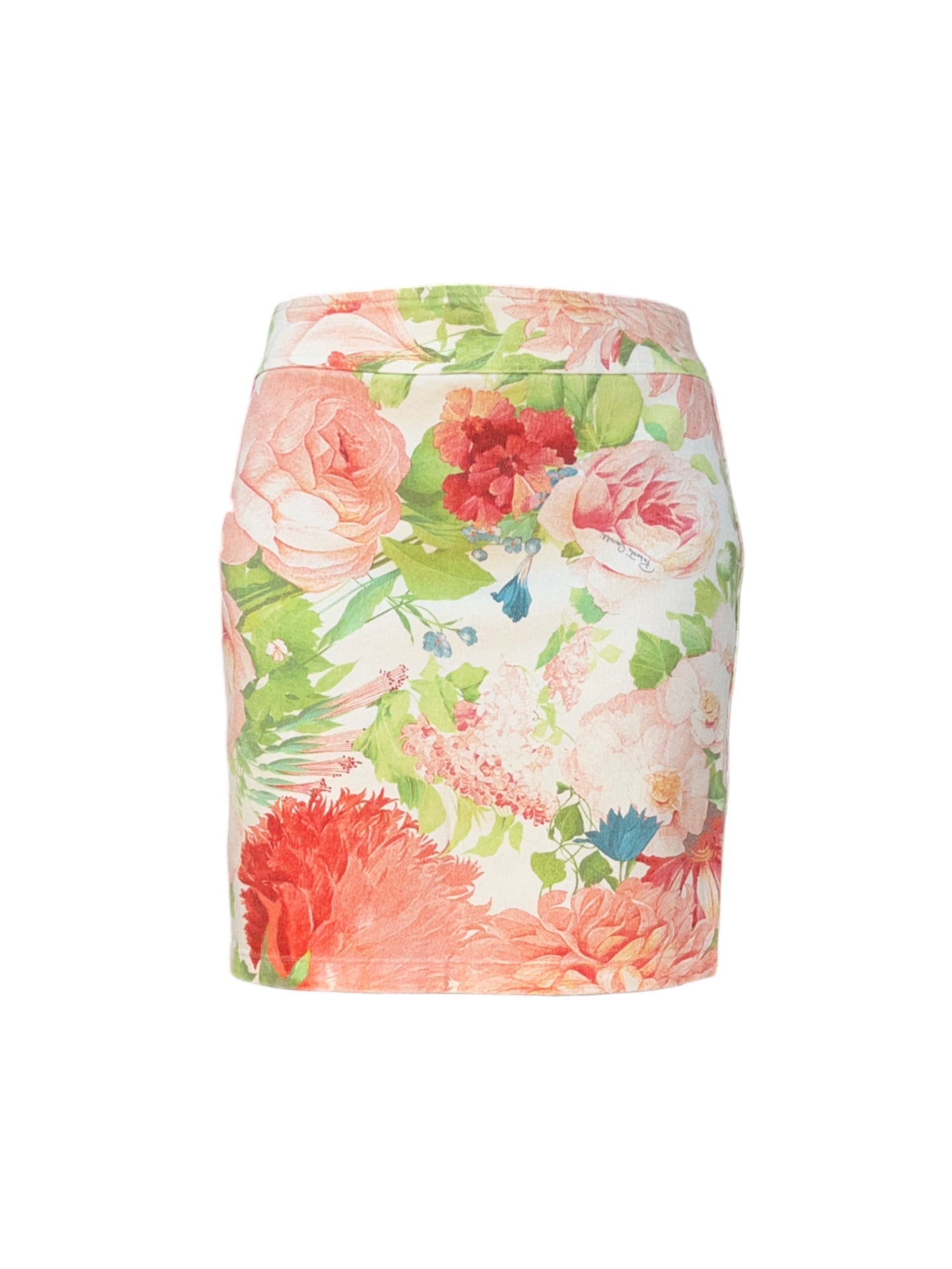 Roberto Cavalli Mini Skirt