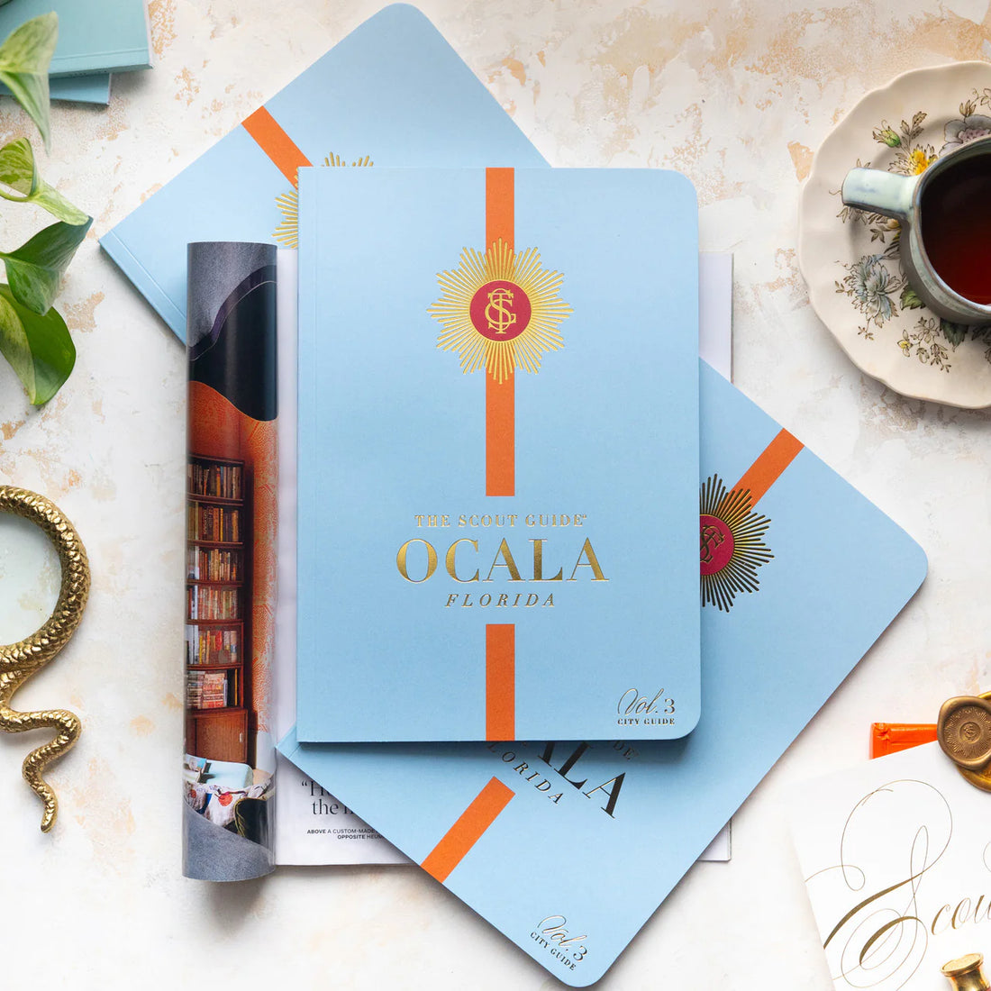 light blue cover with burnt orange stripe