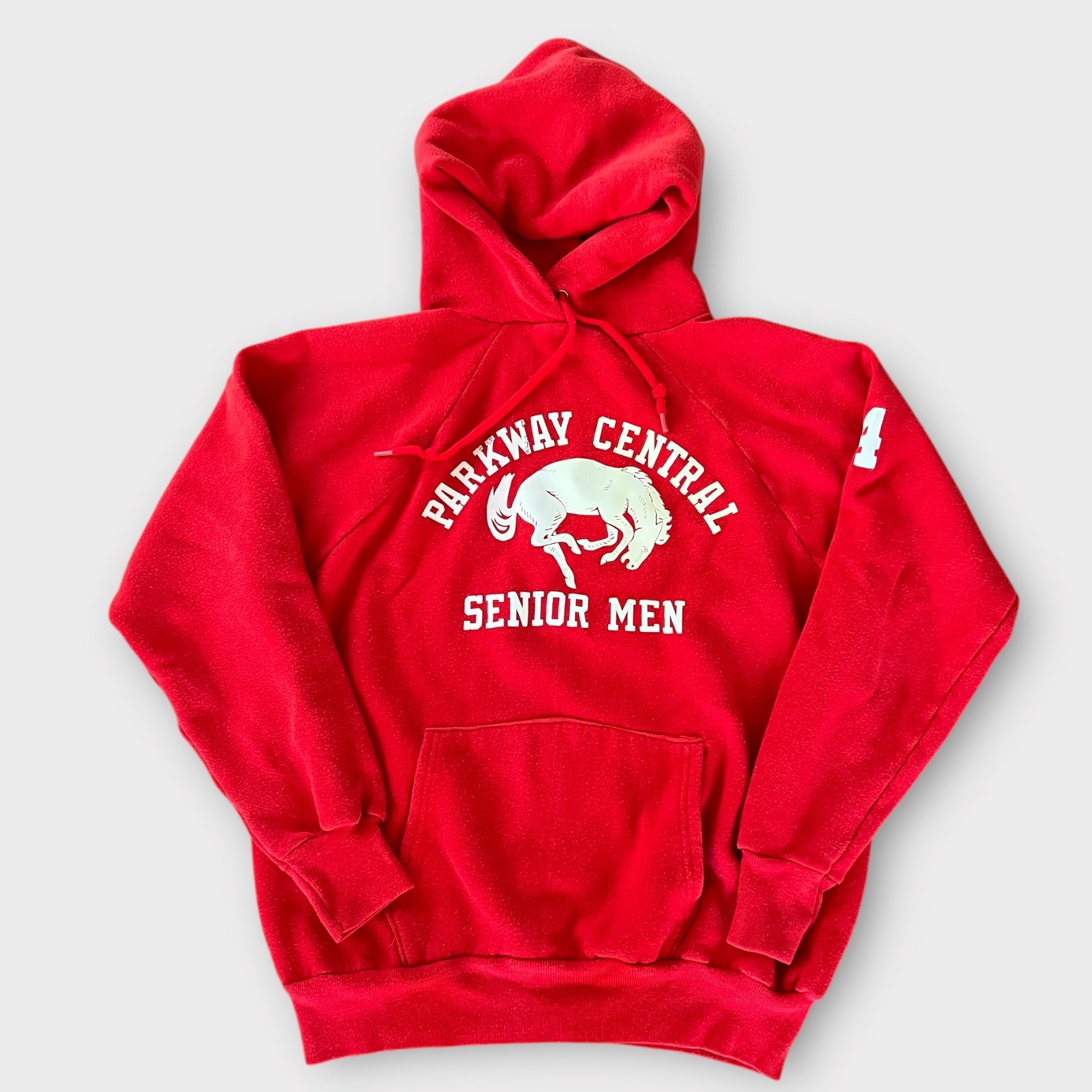 1984 Parkway Central Senior Men High School Vintage Mascot Hoodie Sweatshirt