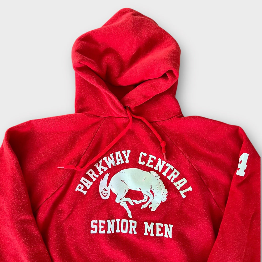 1984 Parkway Central Senior Men High School Vintage Mascot Hoodie Sweatshirt