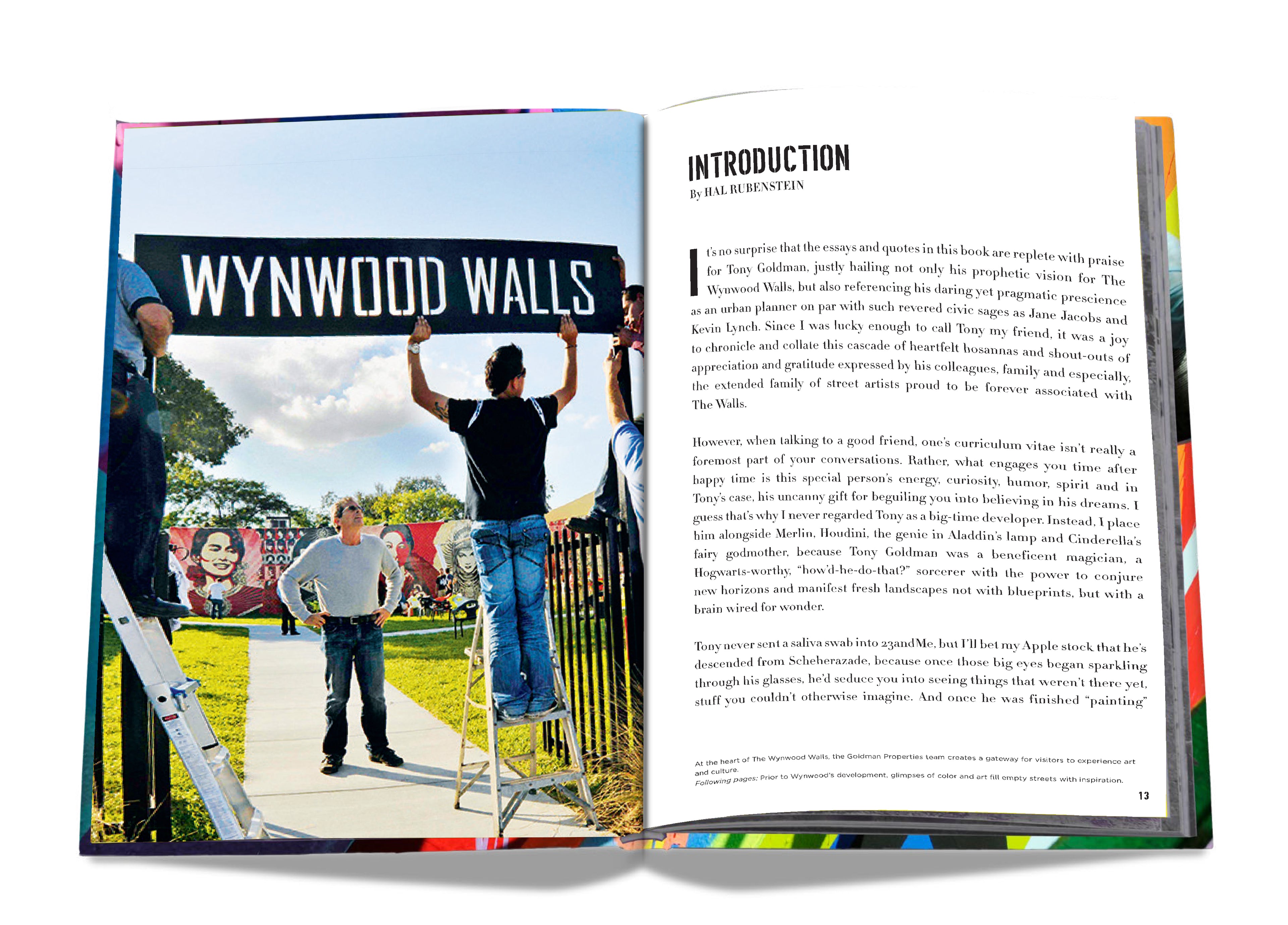 Street Art Icons: The Story of Wynwood Walls