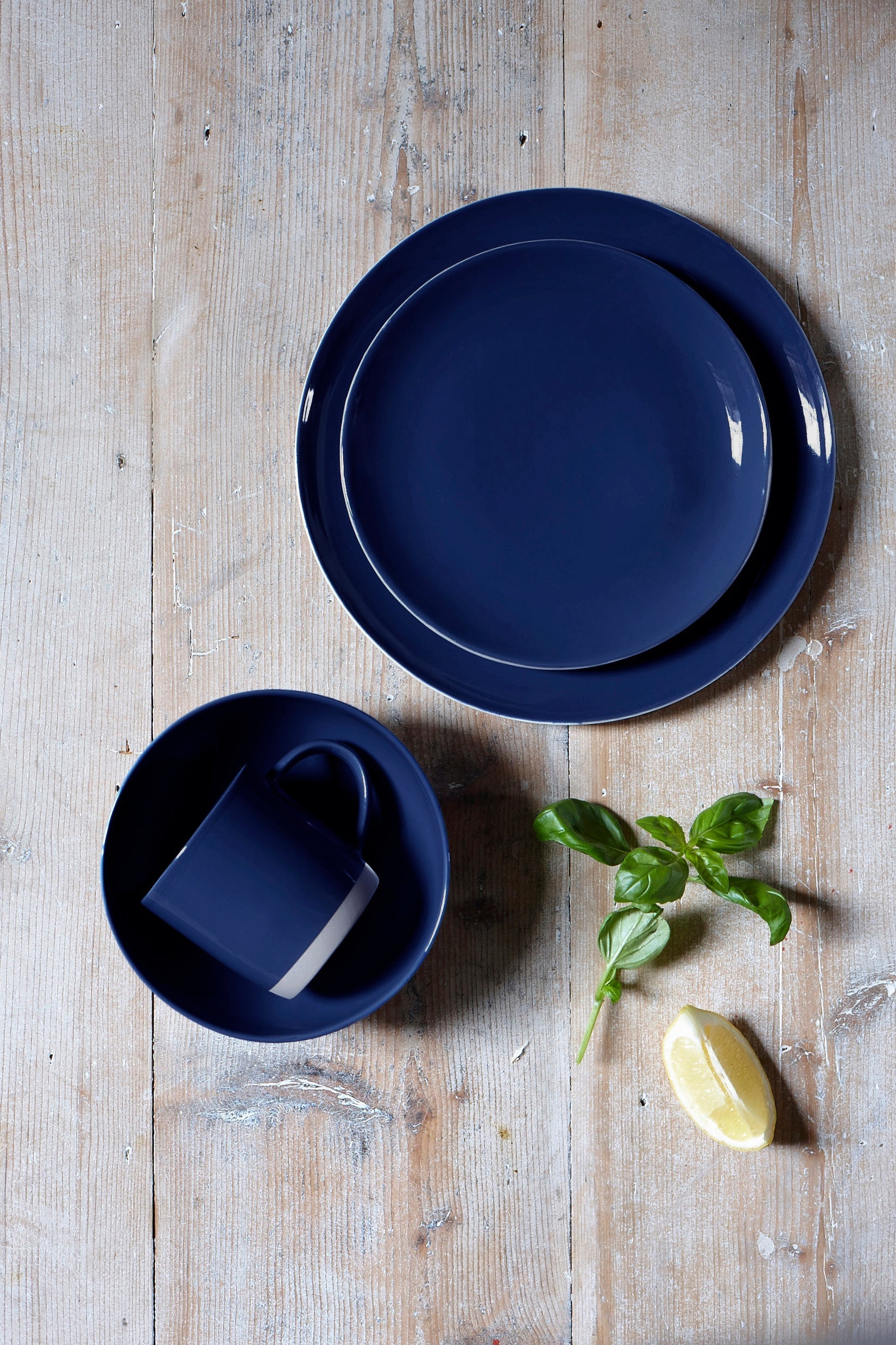 Shell Bisque Salad Plate Indigo - Set of 4