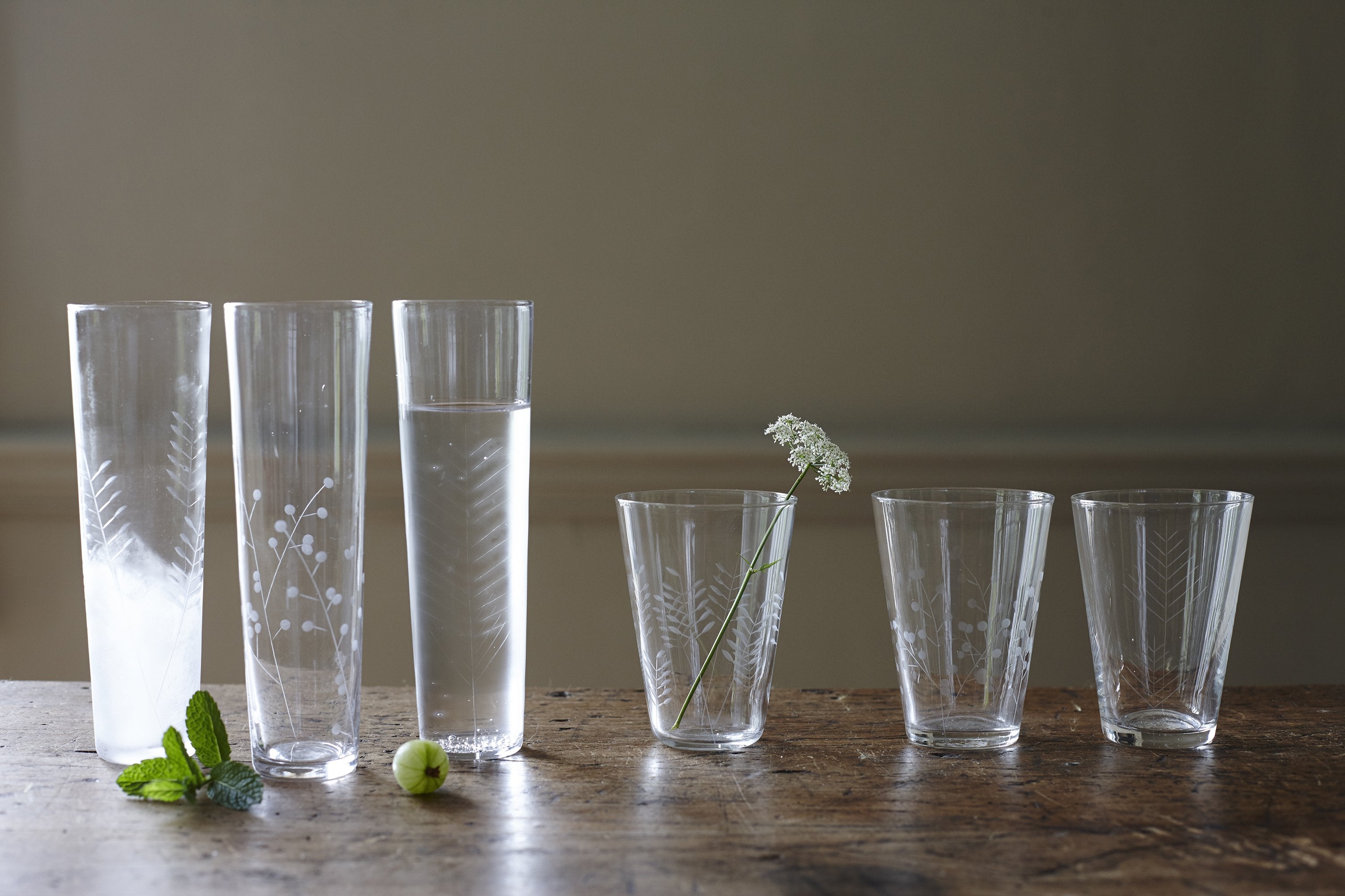 Sienna Etched Champagne Glasses - Set of 6