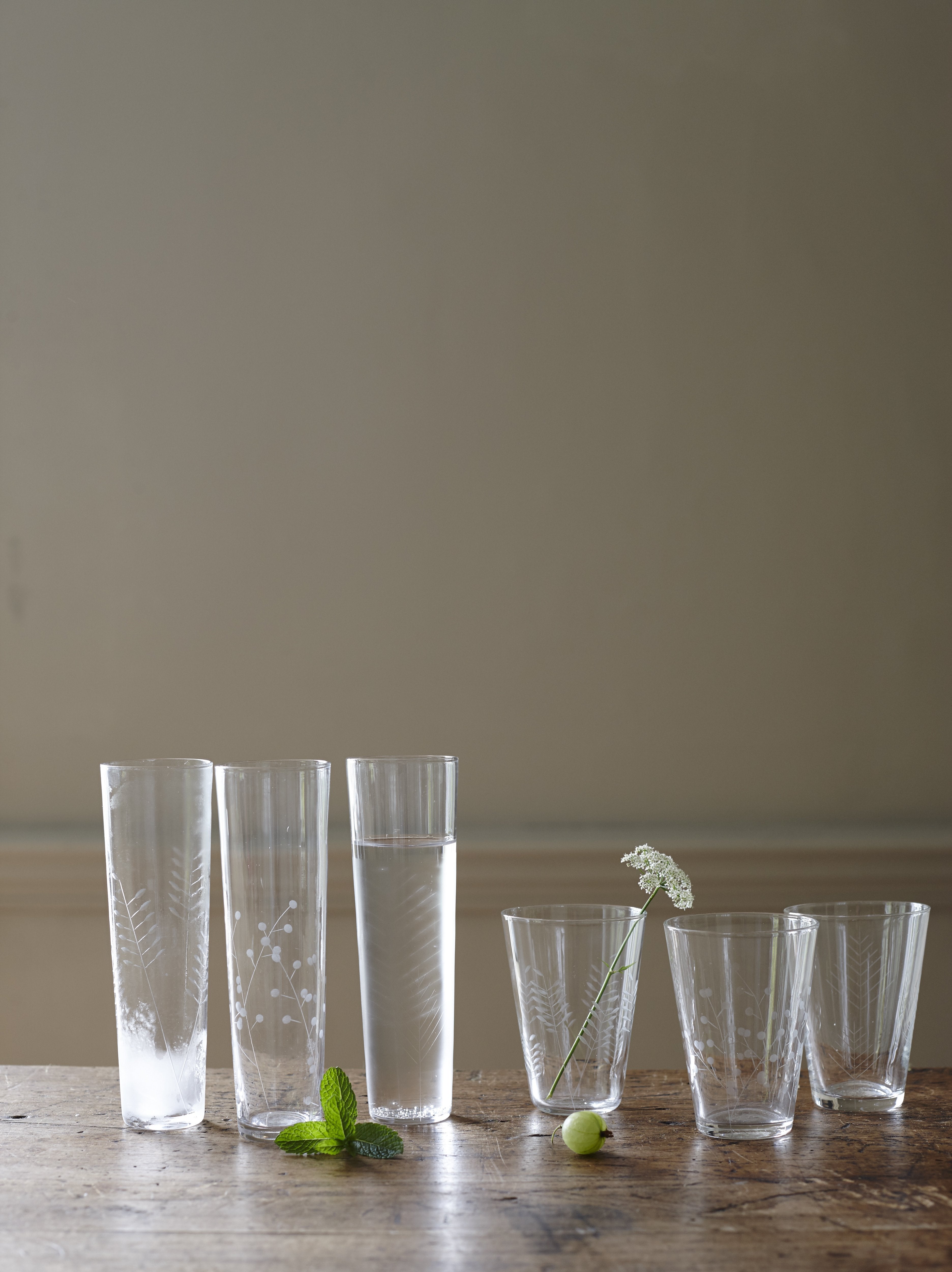Sienna Etched Champagne Glasses - Set of 6