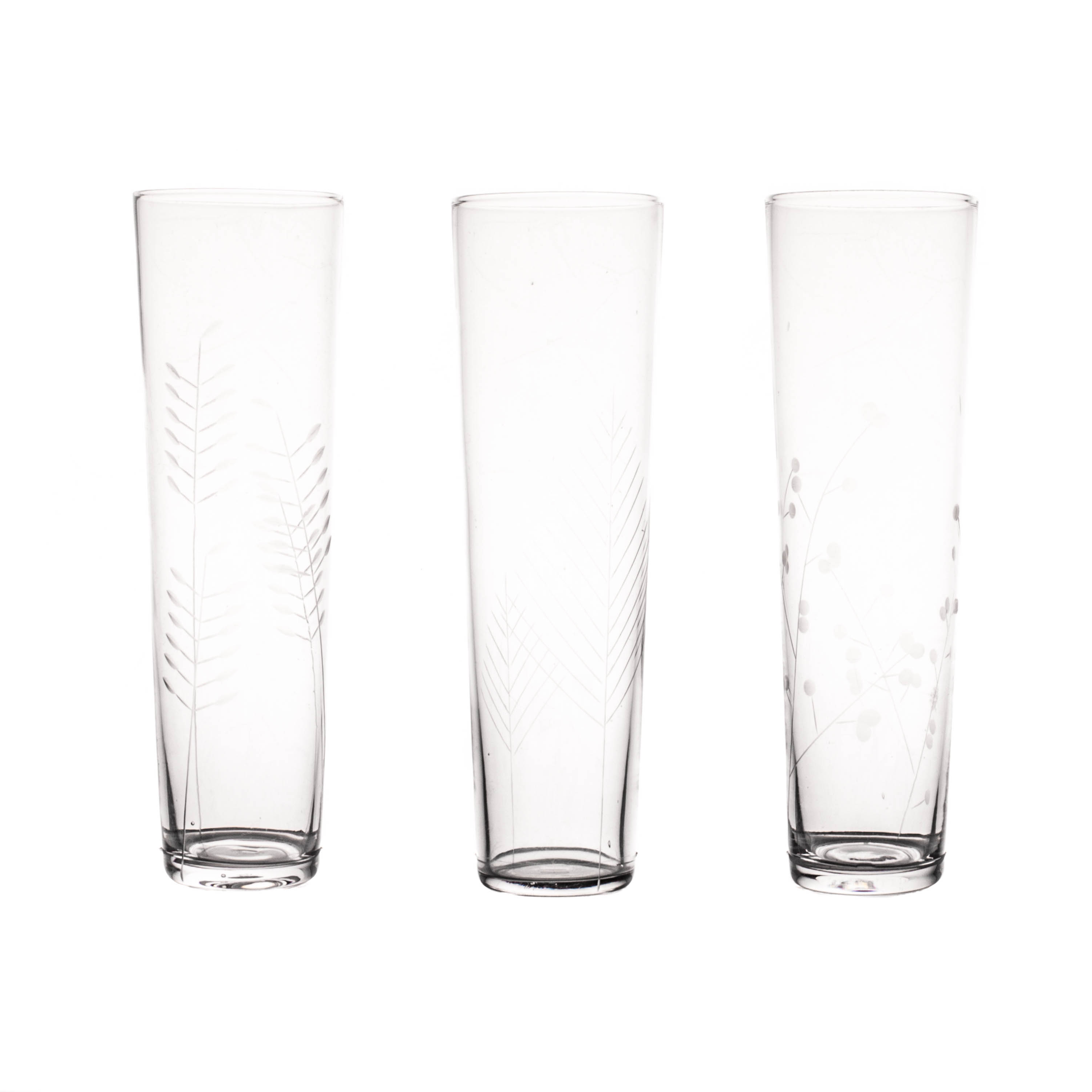 Sienna Etched Champagne Glasses - Set of 6