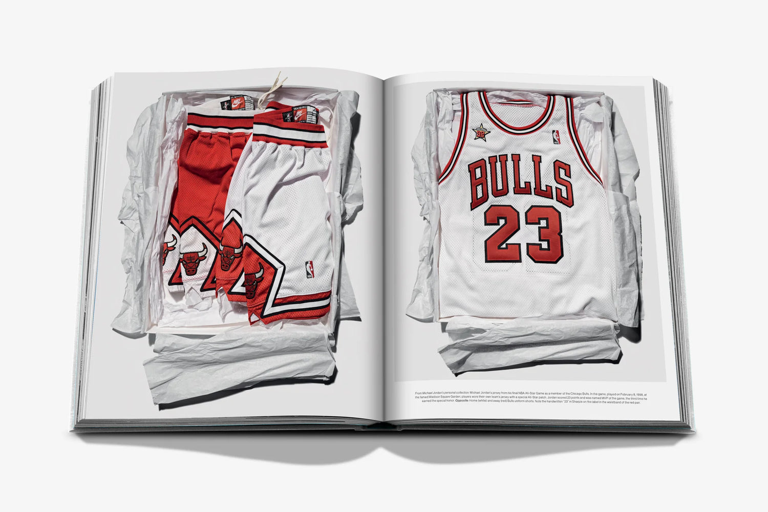 Air Jordan