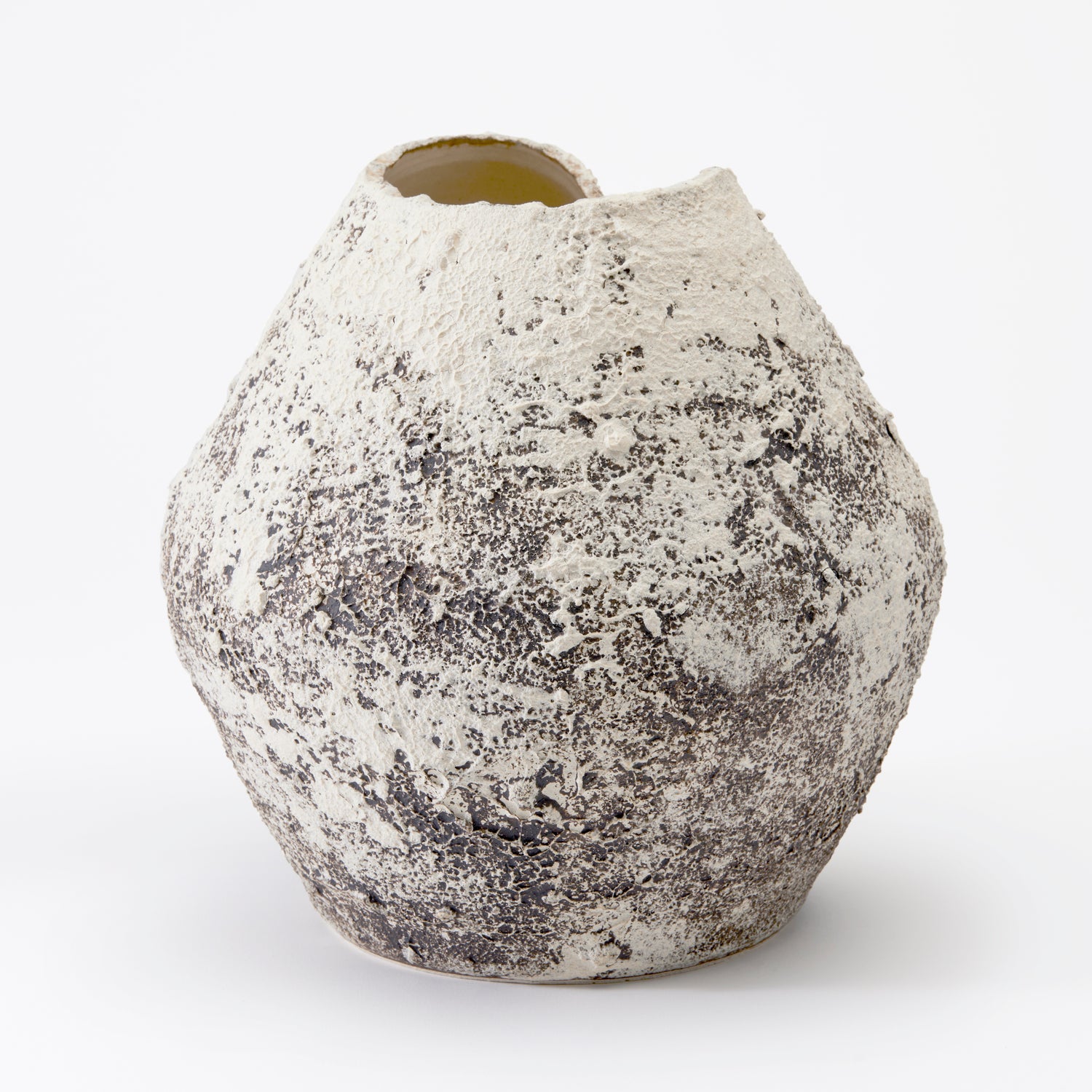 Claudia Vase