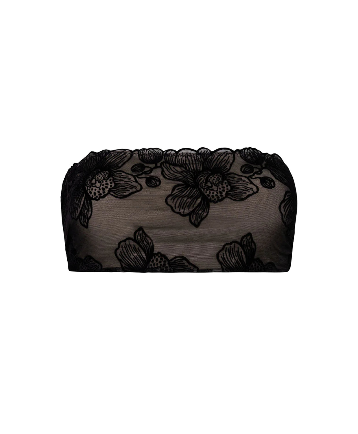 Stella Bandeau