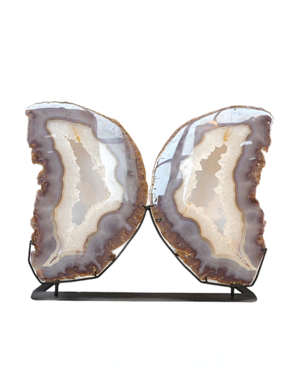 Agate Quartz Butterfly Wings