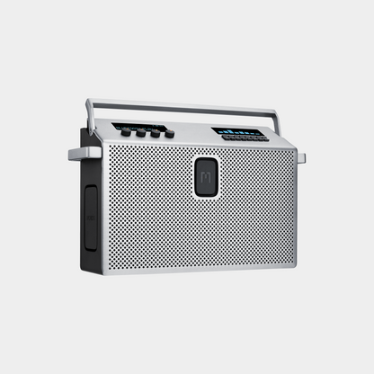 Mondo Large Speaker