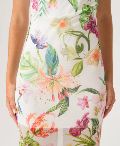 Sofia Tube Dress