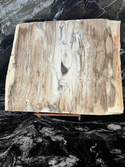 Petrified Wood Serving / Cutting Board