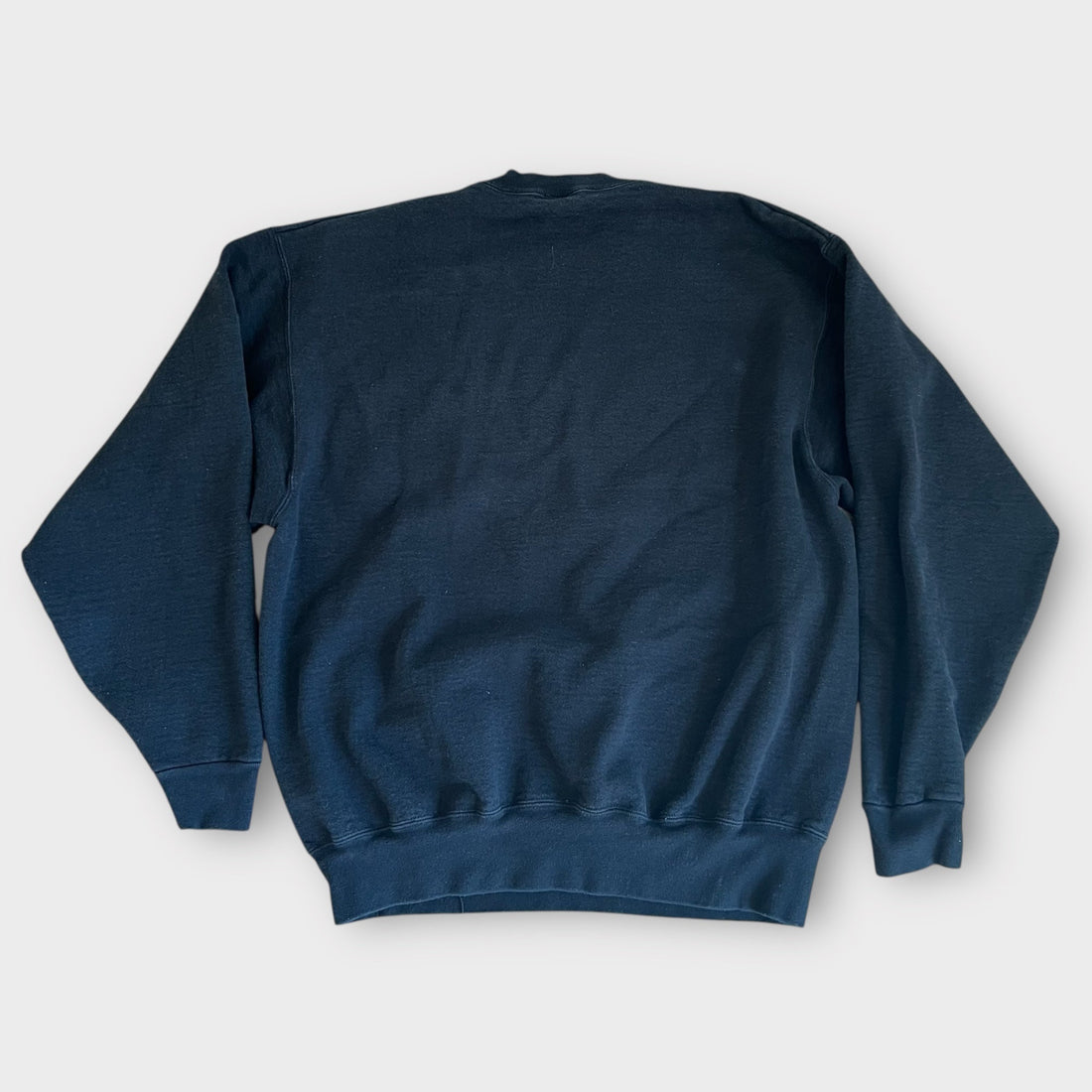 1990s Einstein Wrestling Vintage High School Athletics Sports Sweatshirt