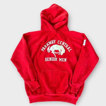 1984 Parkway Central Senior Men High School Vintage Mascot Hoodie Sweatshirt