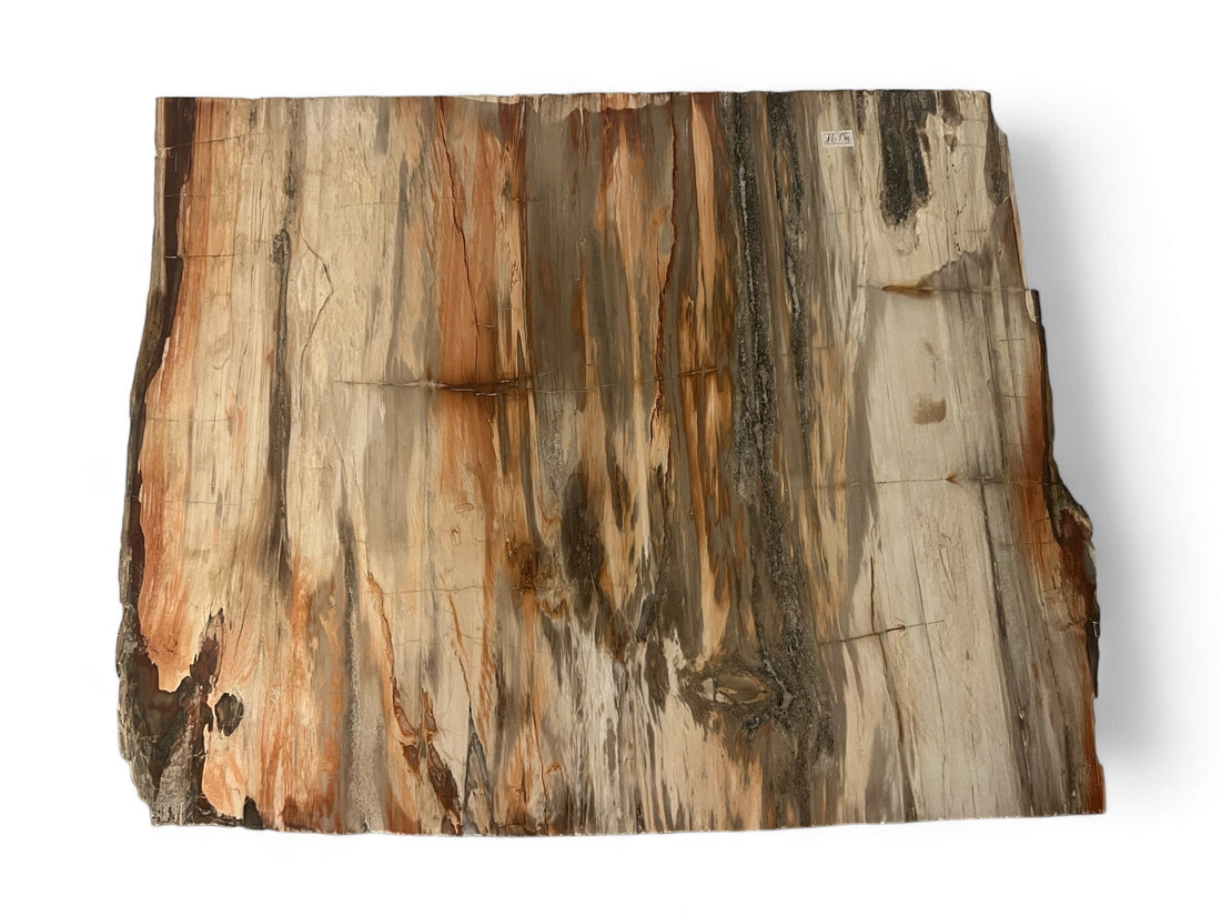 Petrified Wood Platter Square XL