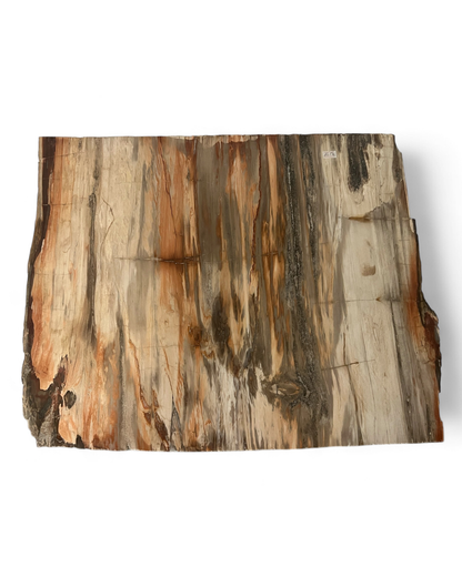 Petrified Wood Platter Square XL