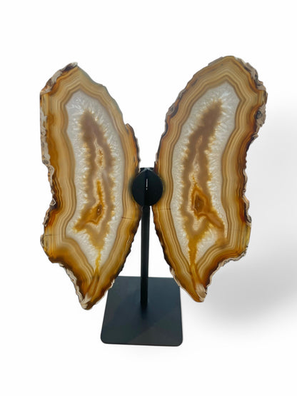 Agate Butterfly Wings $395