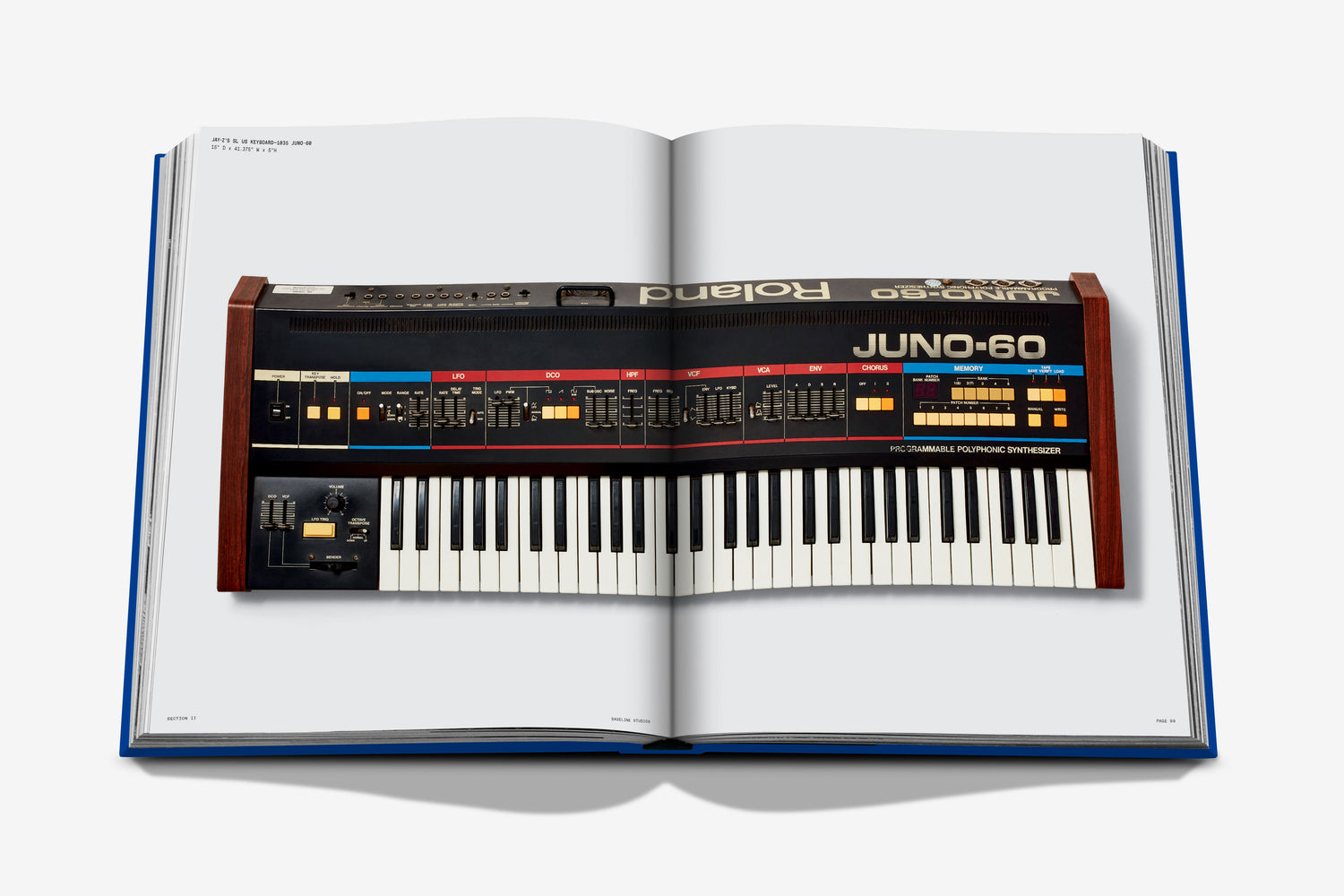 The Book of HOV: A Tribute to Jay-Z