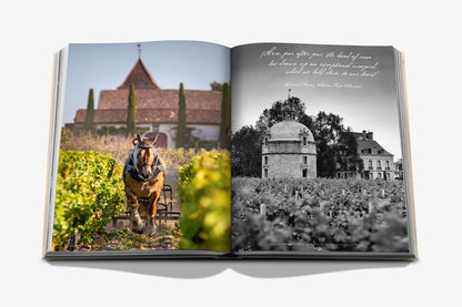 Wine &amp; Travel France