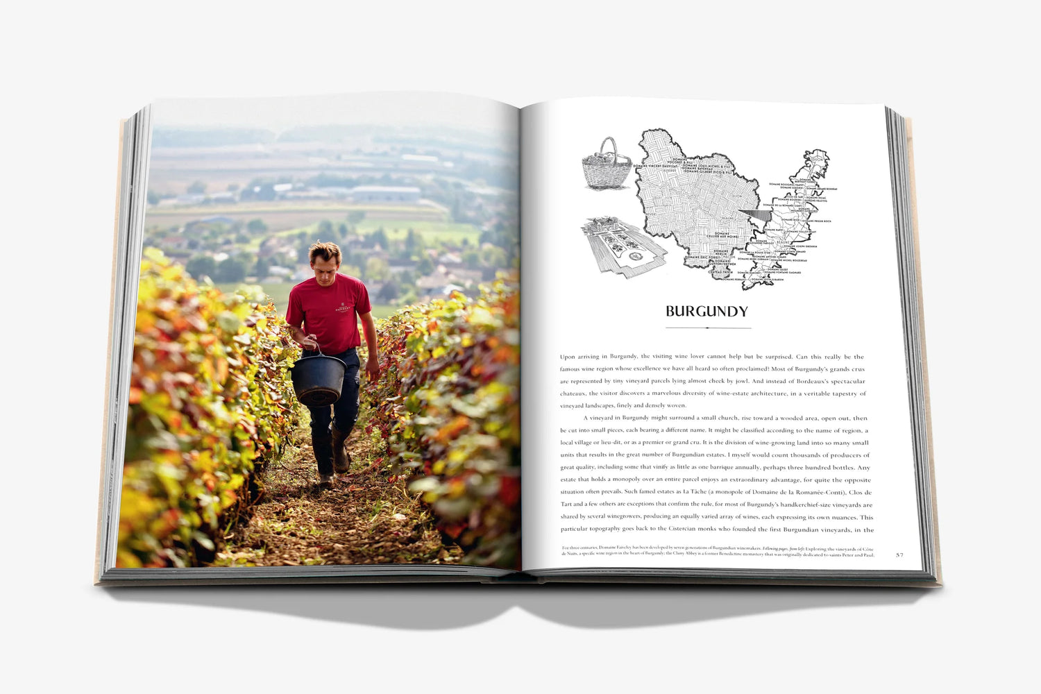 Wine &amp; Travel France