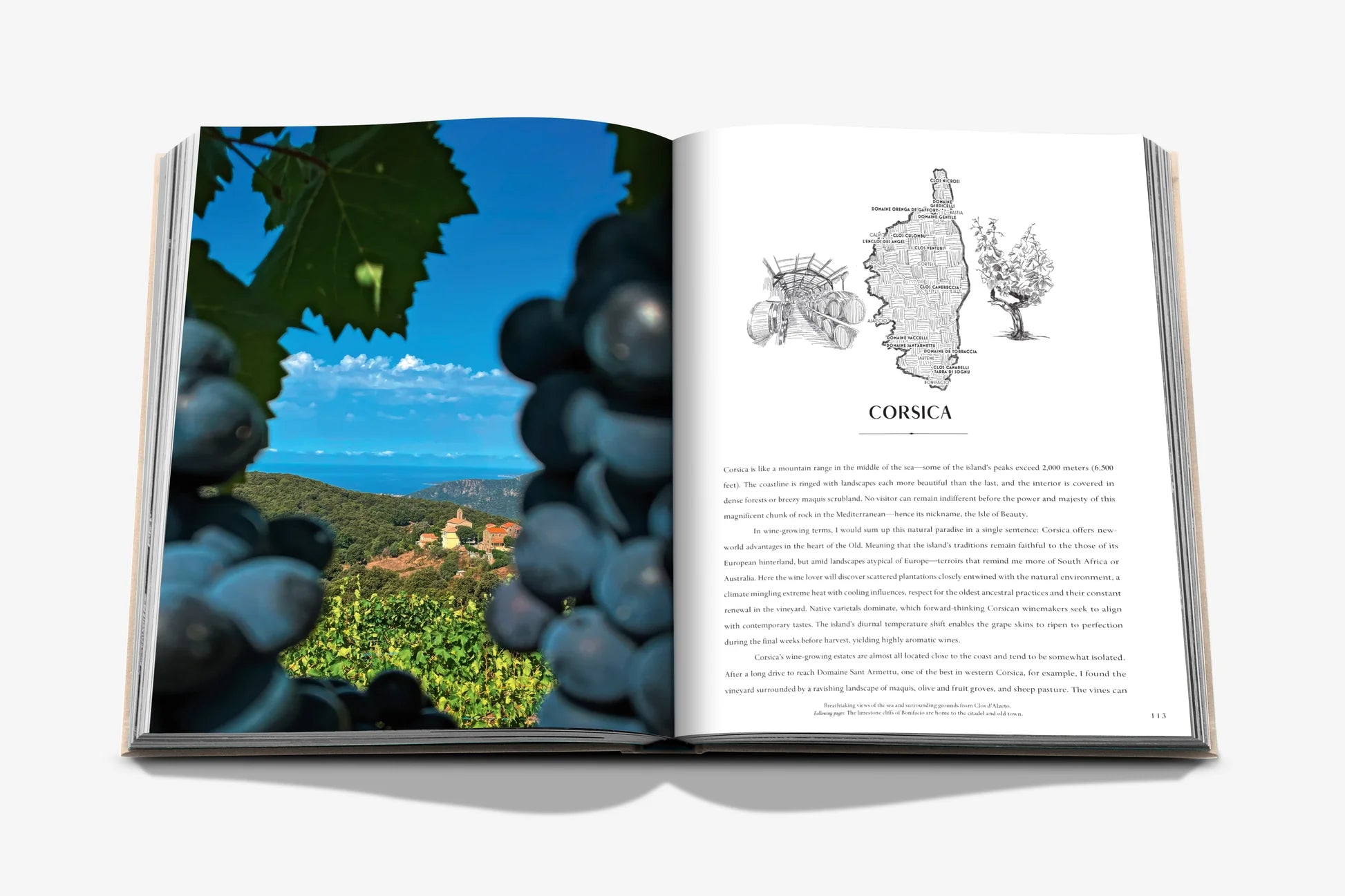 Wine &amp; Travel France