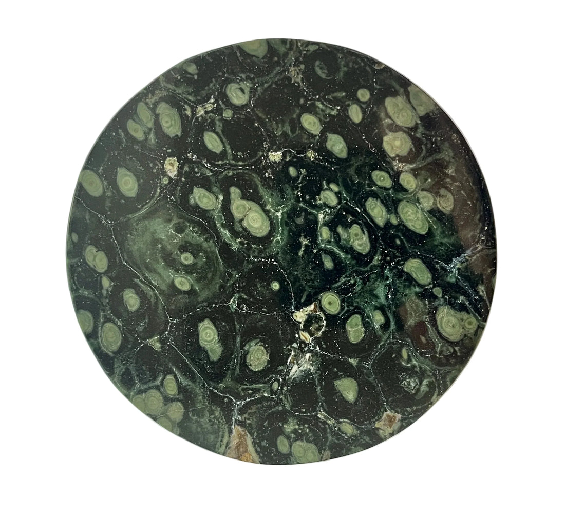 Coasters Crocodile Jasper - Set of 4