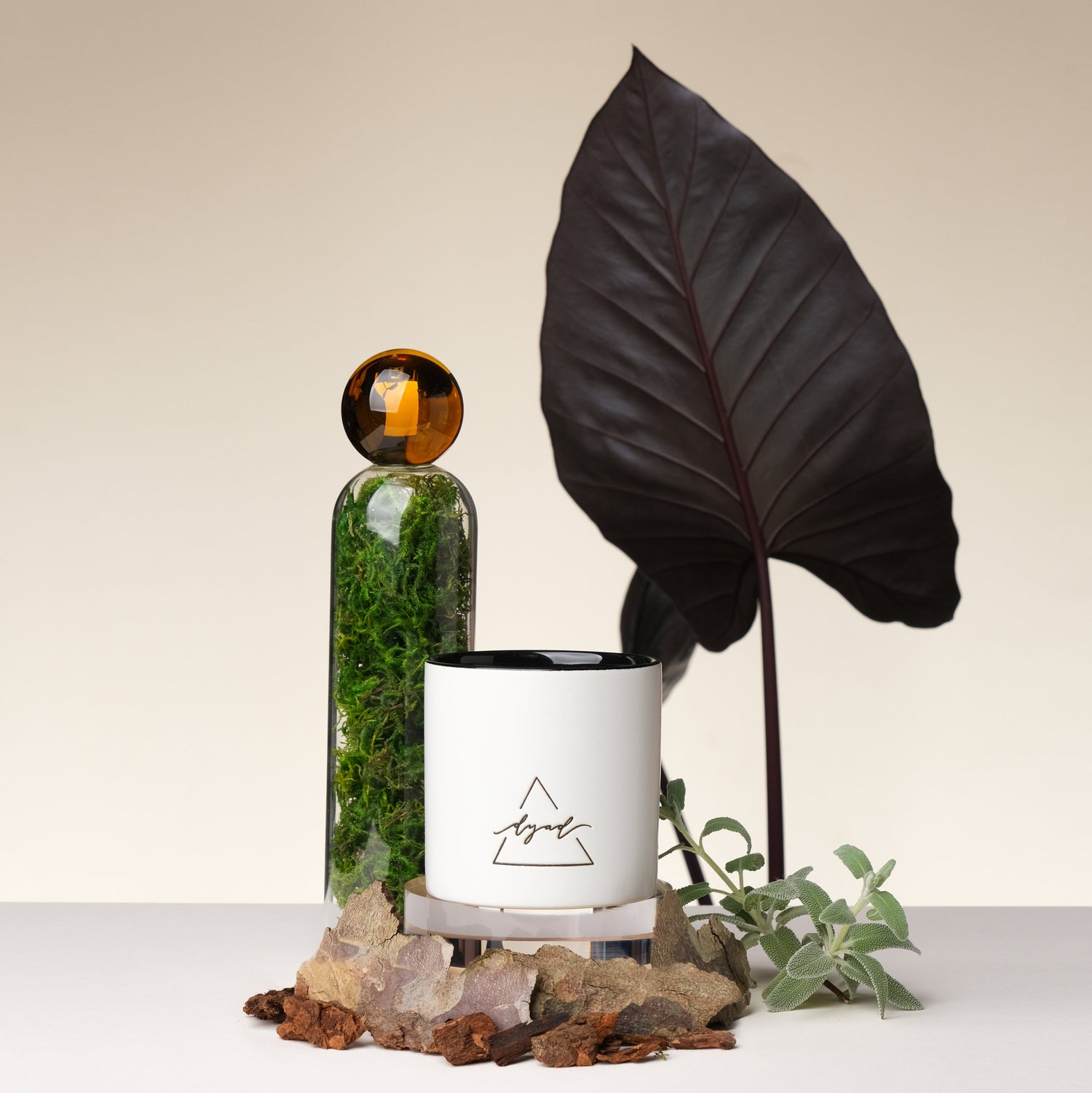 candle displayed with a terrarium, sage sprigs, and a black elephant ear plant