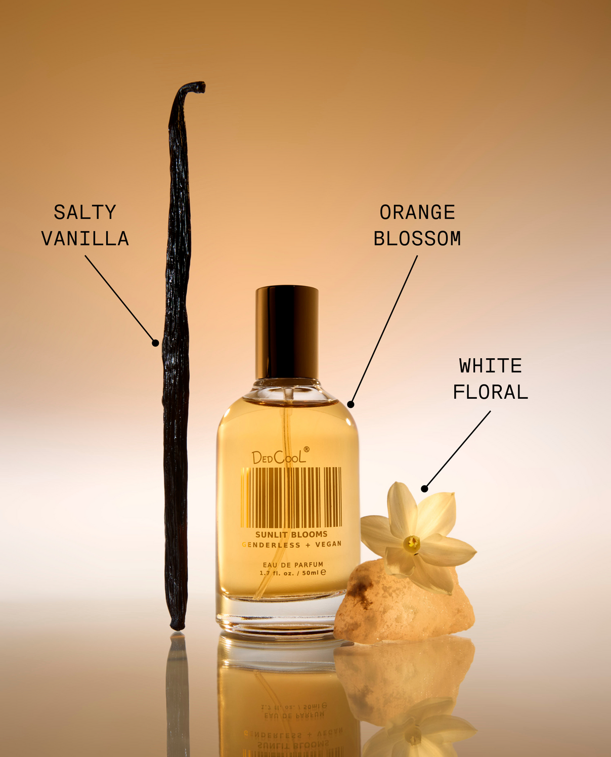 Sunlit Blooms Fragrance