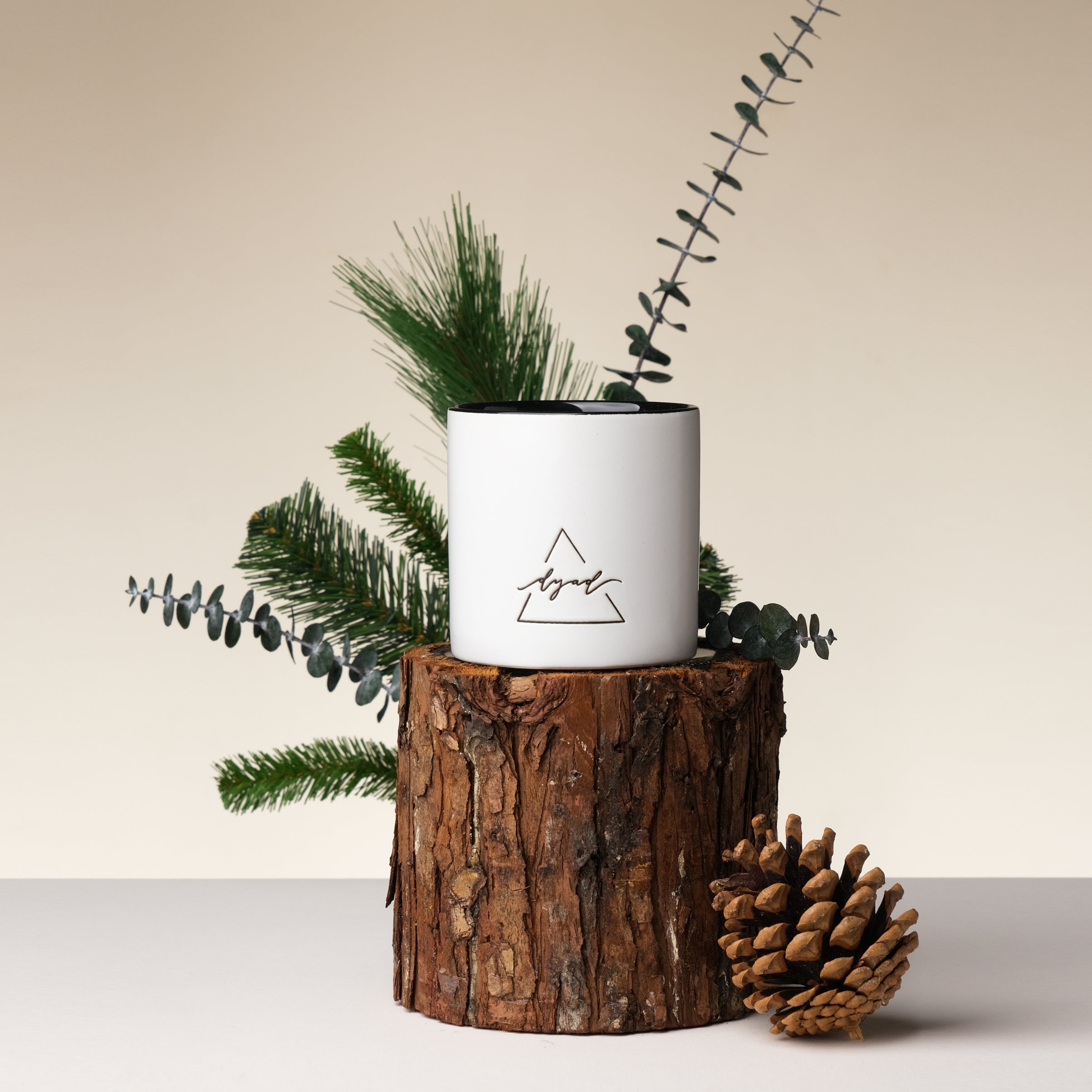 Candle displayed with pine cone, pine needles, and eucalyptus