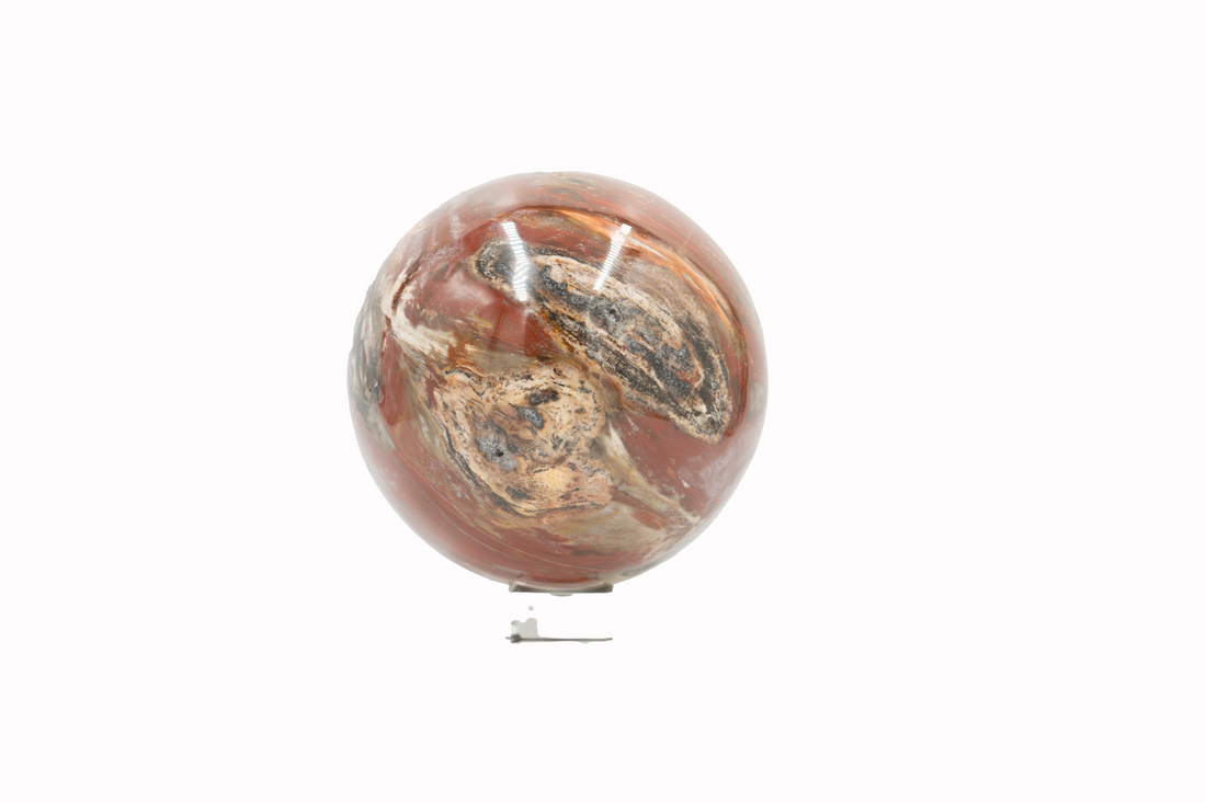 Sphere - Petrified Wood