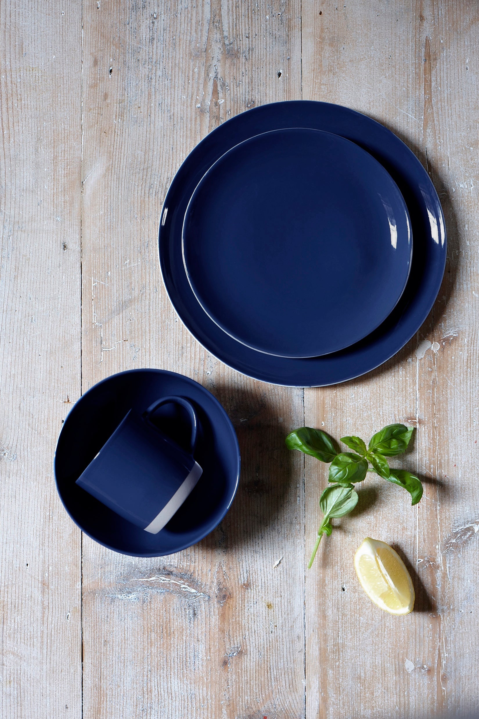 Shell Bisque Dinner Plate Indigo - Set of 4