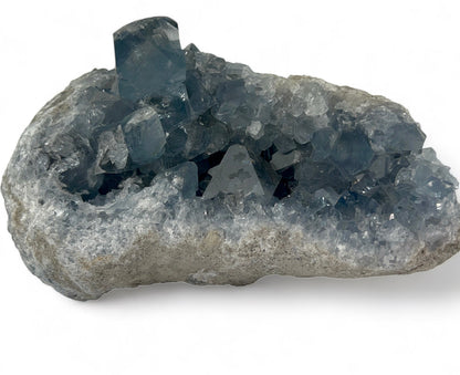 Celestite Geode