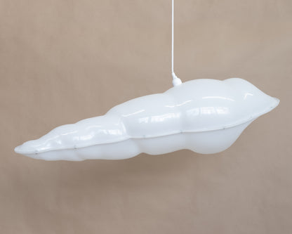 Auger Shell Lamp