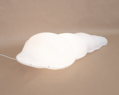 Auger Shell Lamp