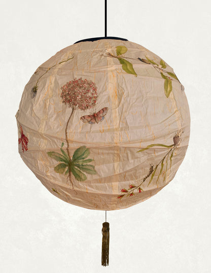 Flora Lantern in Round