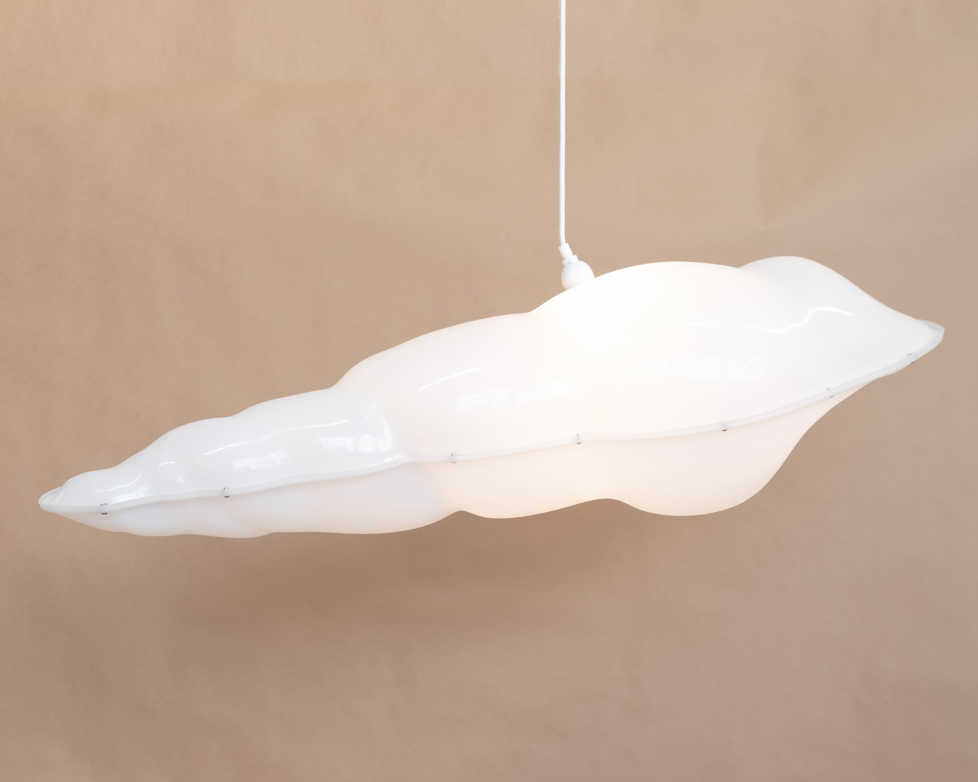 Auger Shell Lamp